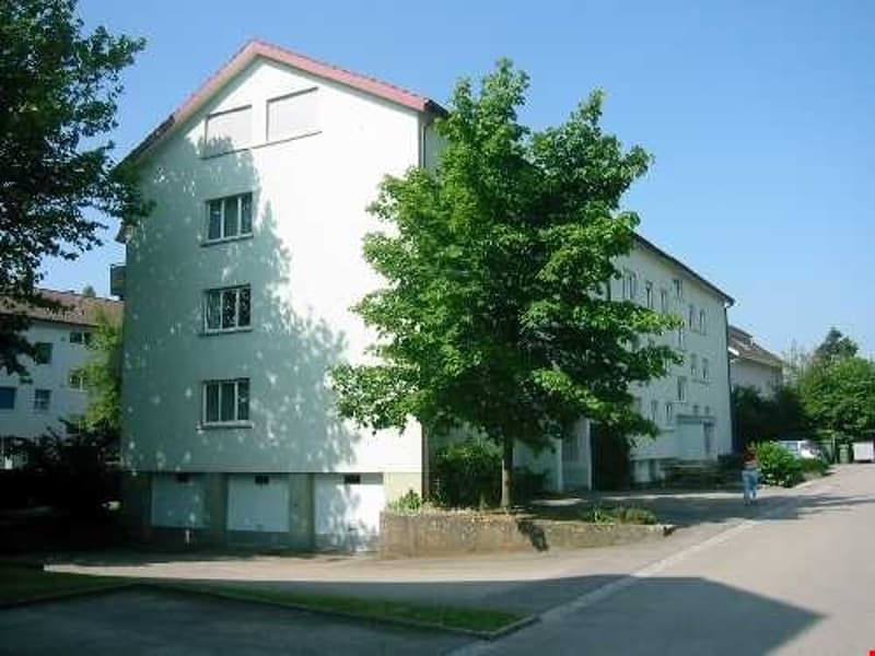 Appartamento 3 1/2 locali, soleggiato e luminoso (2)