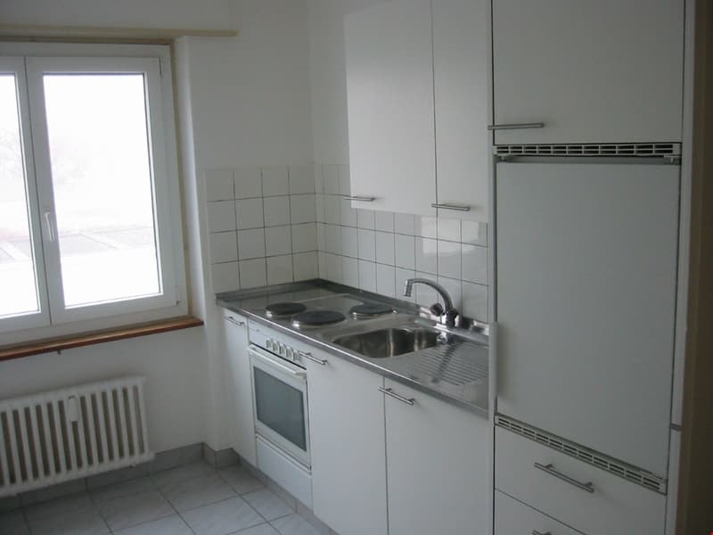 Appartamento 3 1/2 locali, soleggiato e luminoso (4)
