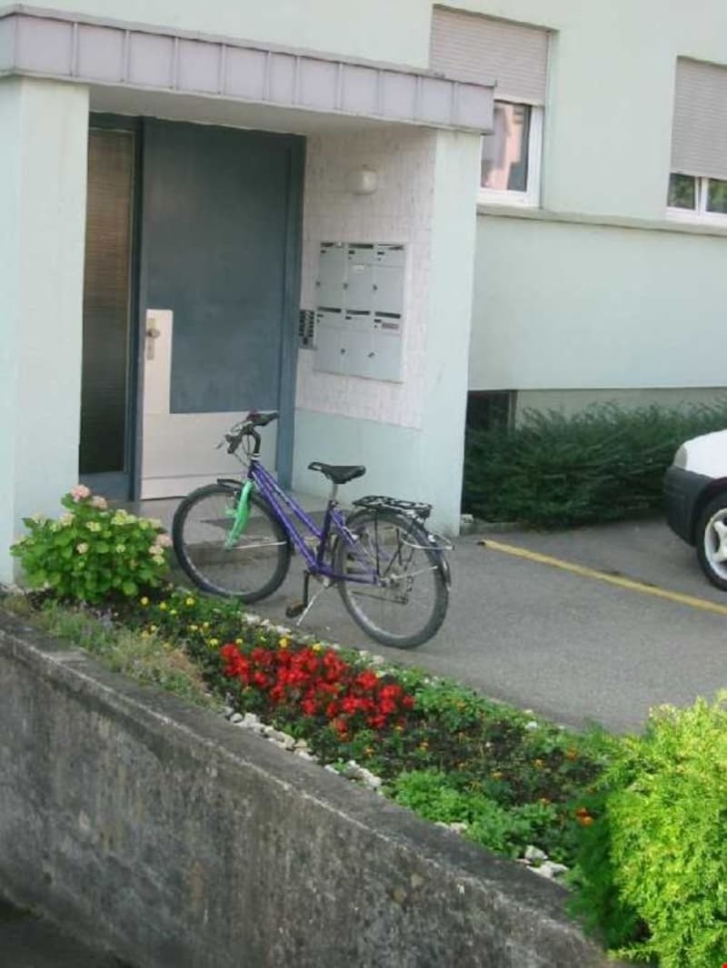 Appartamento di 2 1/2 locali, soleggiato e luminoso (11)