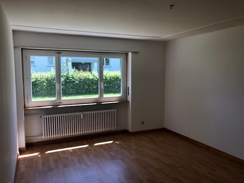 Appartamento di 2 1/2 locali, soleggiato e luminoso (3)