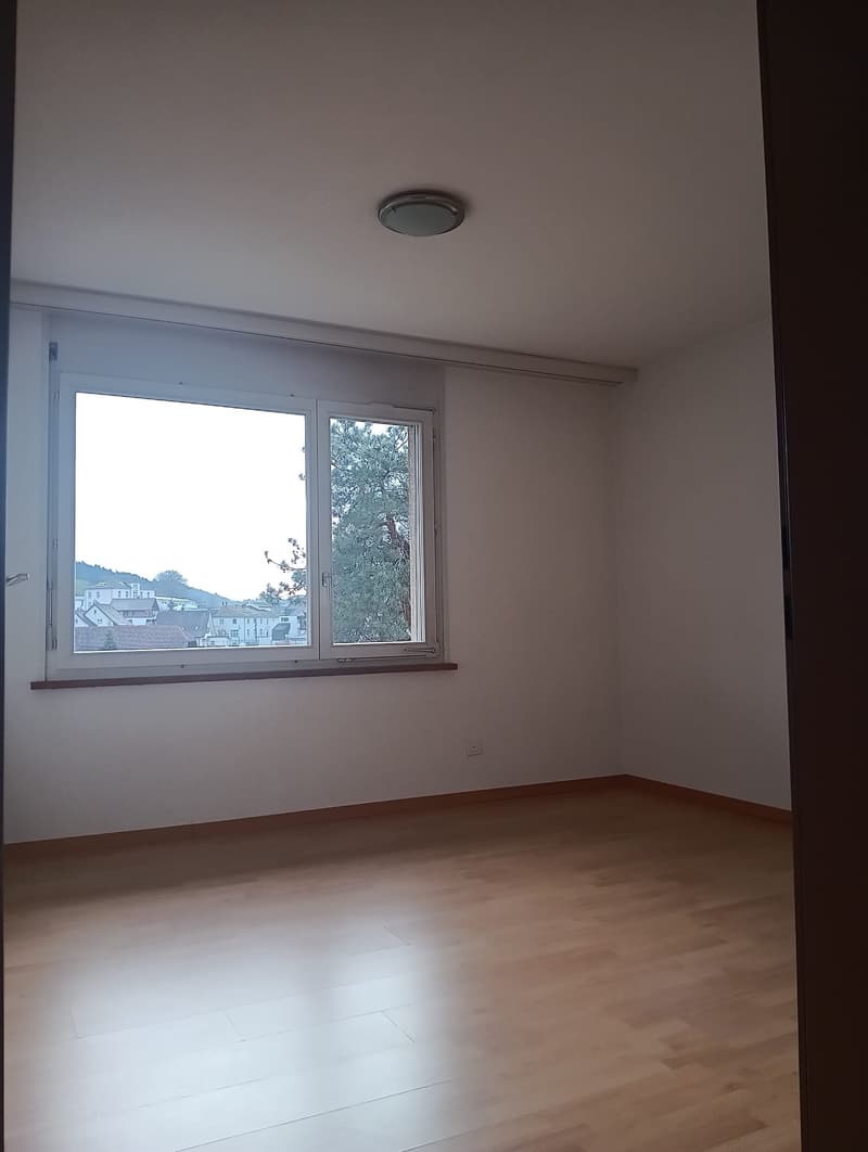 4 1/2 Zimmerwohnung; sonnige, ruhig und hell (10)