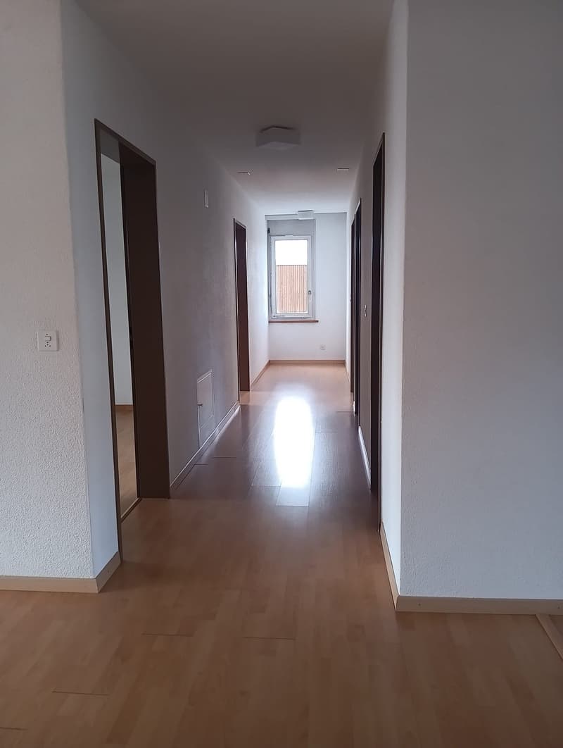 4 1/2 Zimmerwohnung; sonnige, ruhig und hell (8)