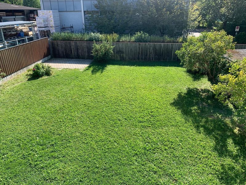Garten.jpeg