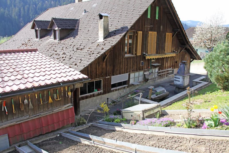 Grosser und gepflegter Garten hinter dem Haus