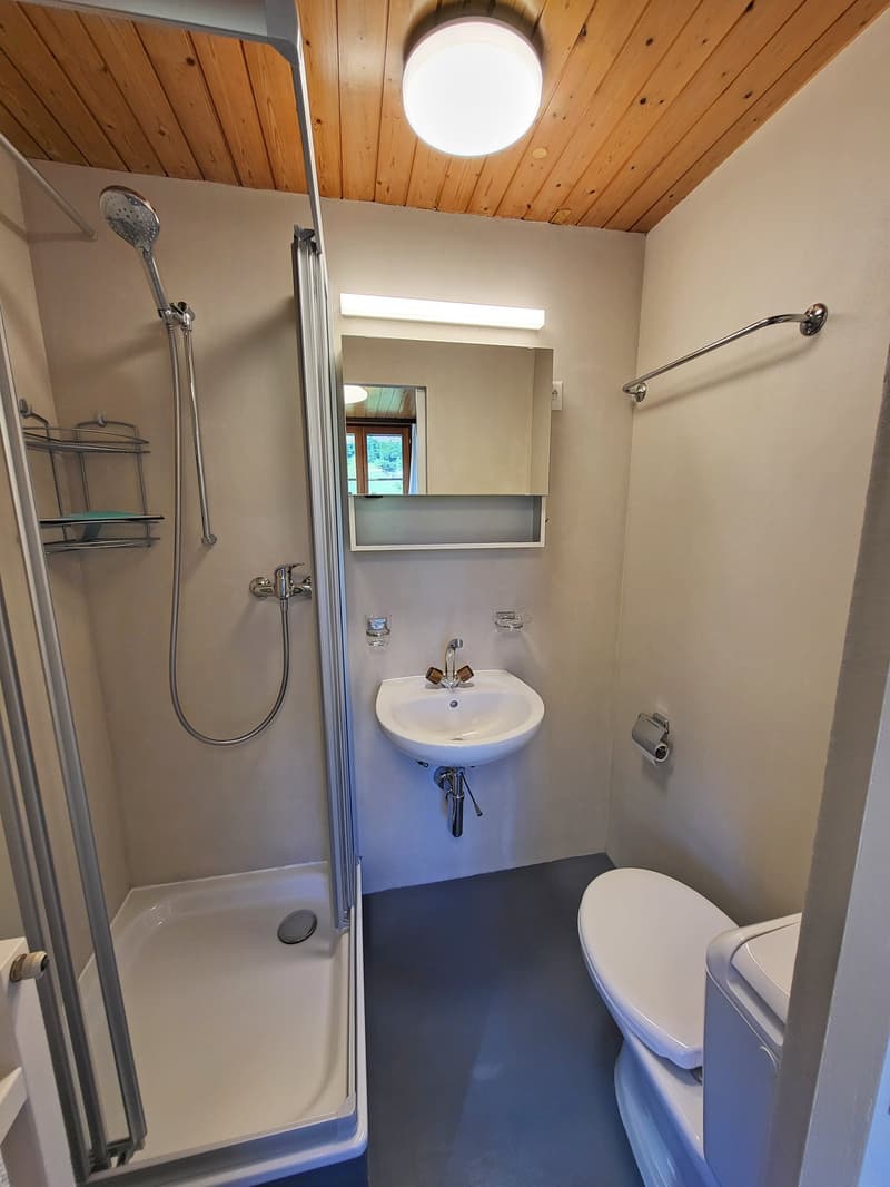 Renoviertes Badezimmer