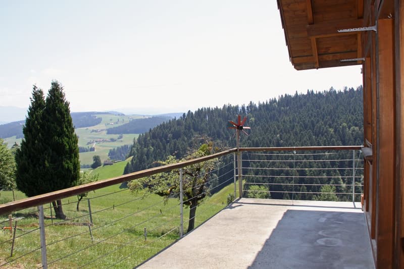 Grosszügige und sonnige Terrasse mit bester Aussicht