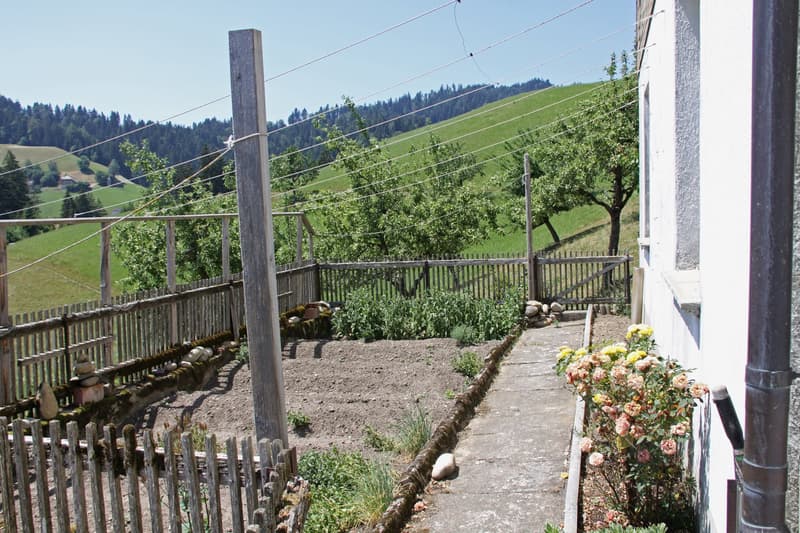 Grosser Garten vor dem Haus