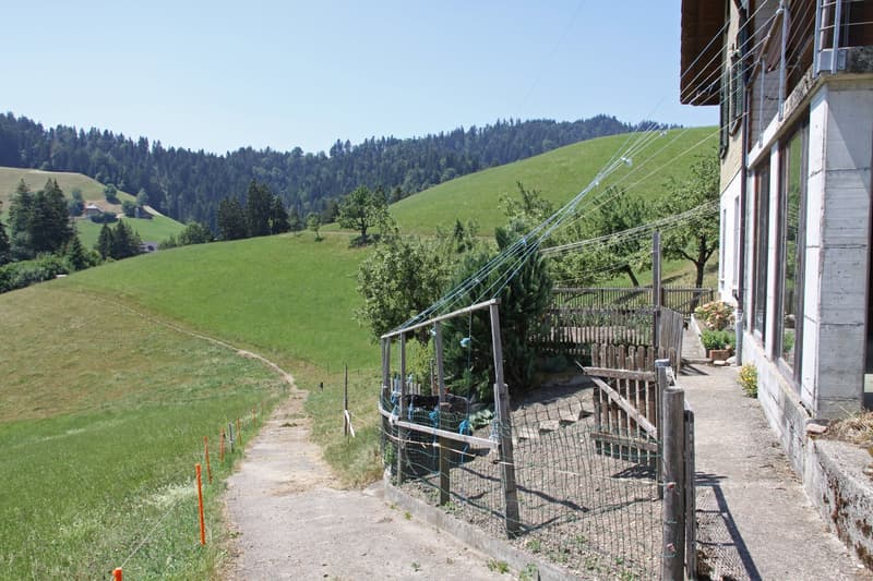 Charming Emmental cottage with a view for sale (6)
