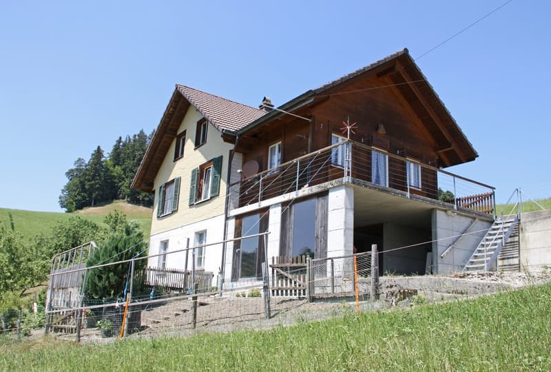 Ein grosser Garten befindet sich vor dem Haus