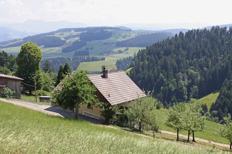 Vom Haus aus hat man eine wunderbare Aussicht