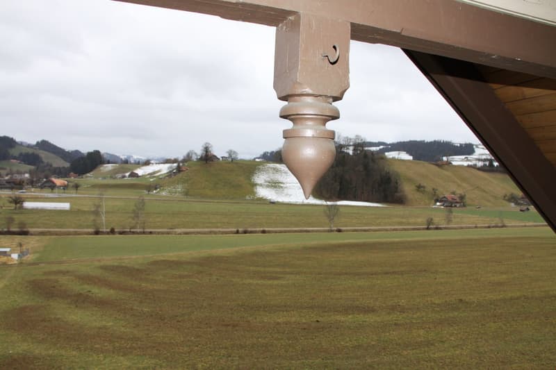 Aussicht ins Grüne vom Wohnbereich aus