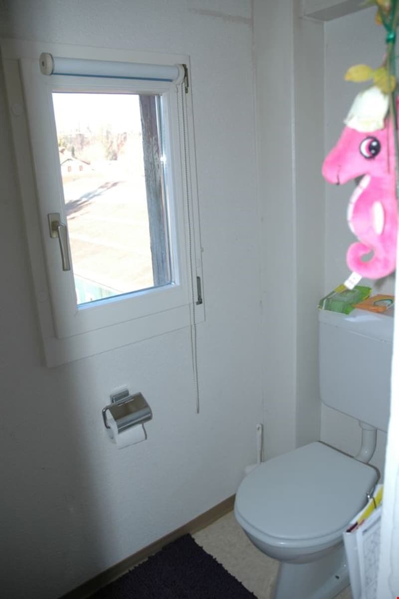 small bathroom with toilet, window, and rug