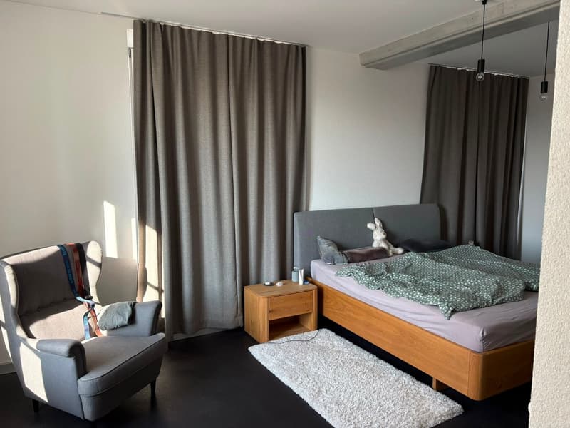 Waebi-Lofts: Vivere in un vero loft adatto alle famiglie (6)