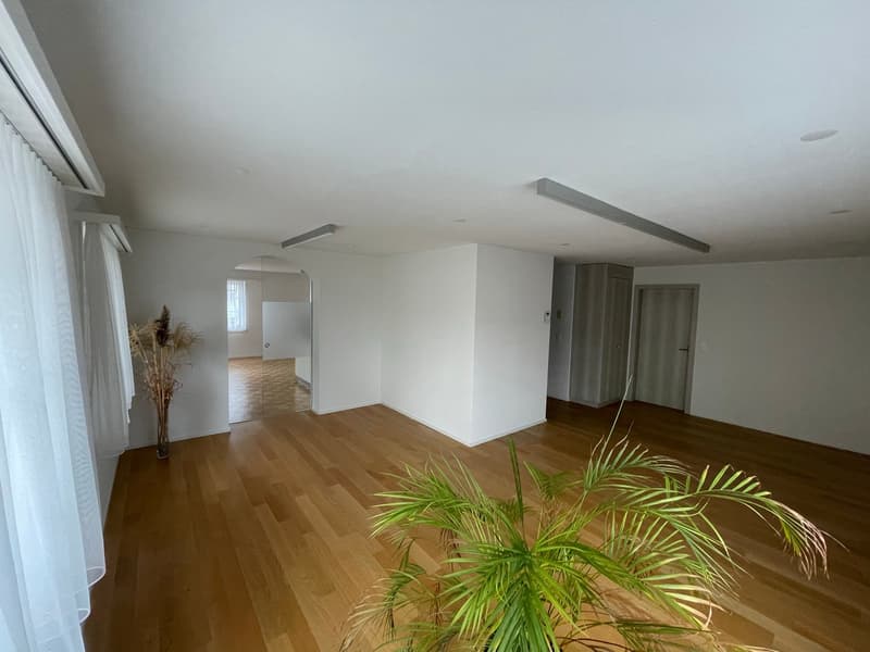 Büro-/ Gewerberäumlichkeiten im Zentrum von Schötz (11)