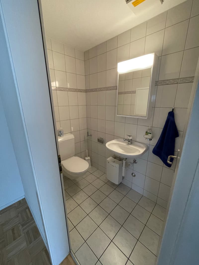 Büro-/ Gewerberäumlichkeiten im Zentrum von Schötz (15)
