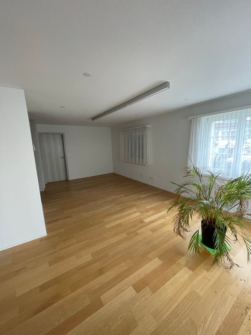 Büro-/ Gewerberäumlichkeiten im Zentrum von Schötz (9)