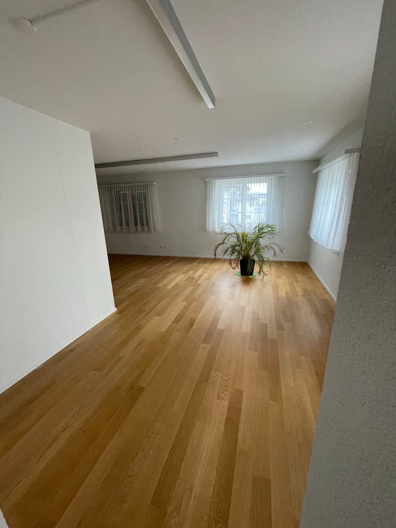 Büro-/ Gewerberäumlichkeiten im Zentrum von Schötz (10)