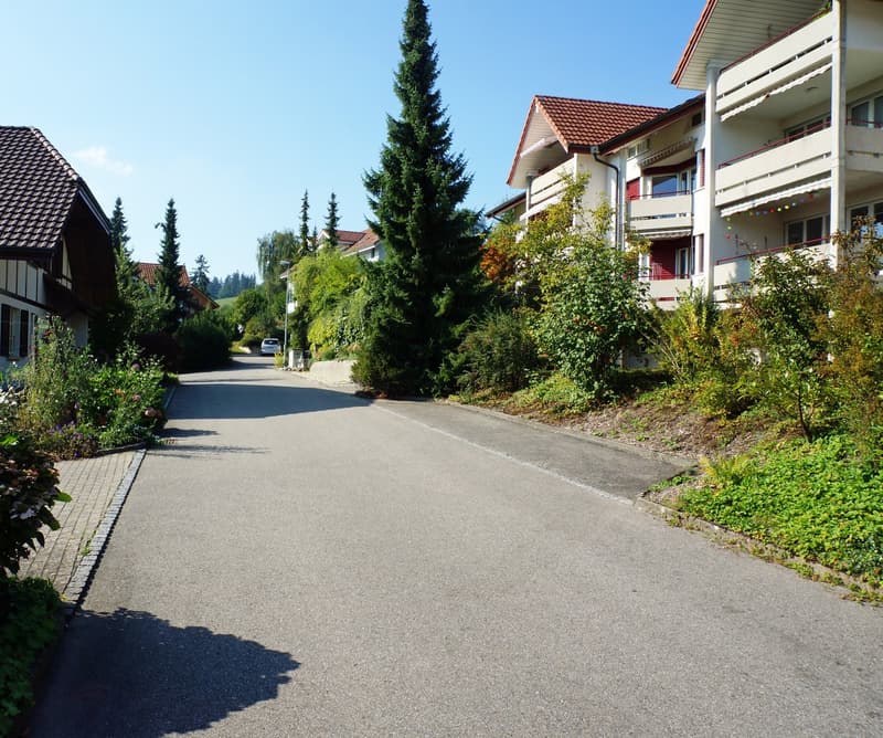 2.5 - Zimmerwohnung mit Weitsicht in Huttwil (3)