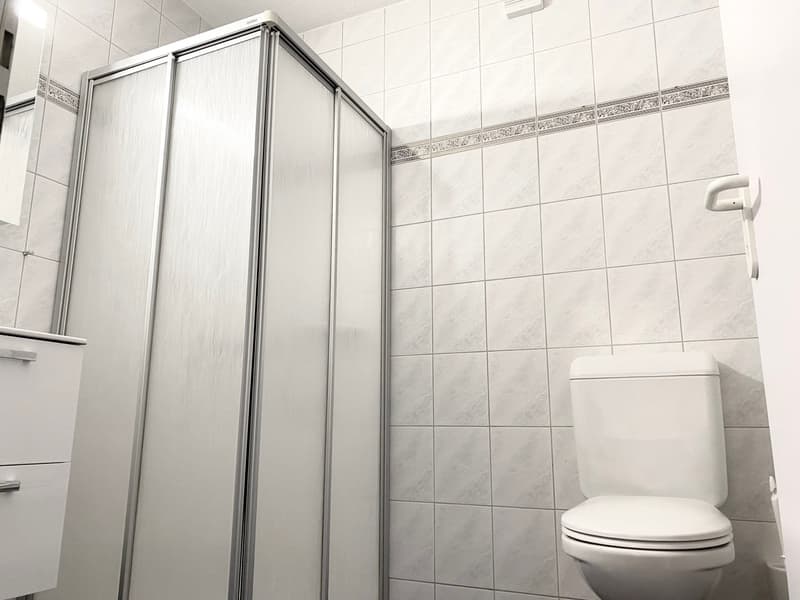 Helle 2.5 - Zimmerwohnung mit grossem Balkon (6)