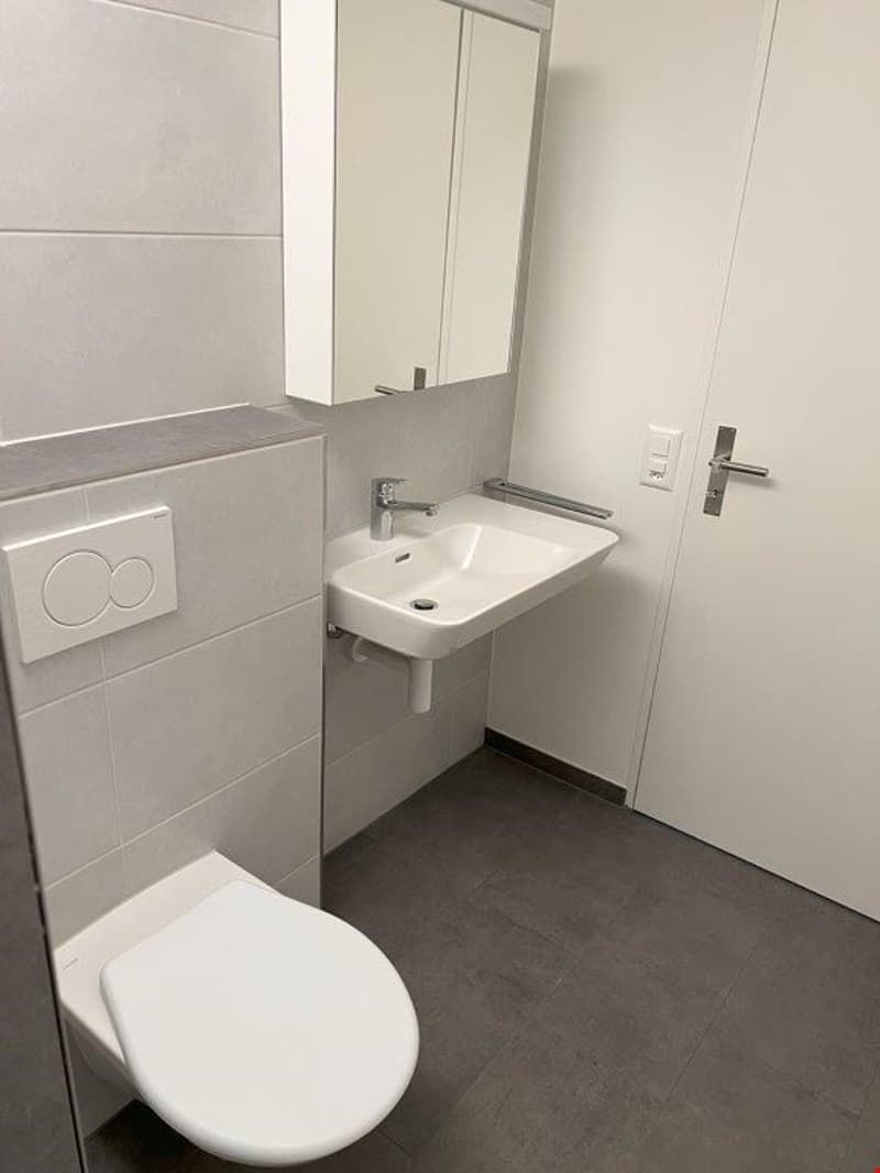 The image shows a modern bathroom with white walls, a sink, a toilet, and a mirror cabinet. The floor is covered with dark gray tiles.
