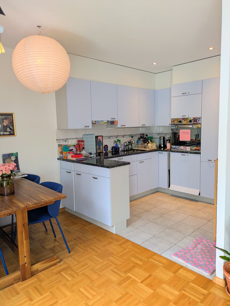 Bright 3-room apartment with balcony (6)