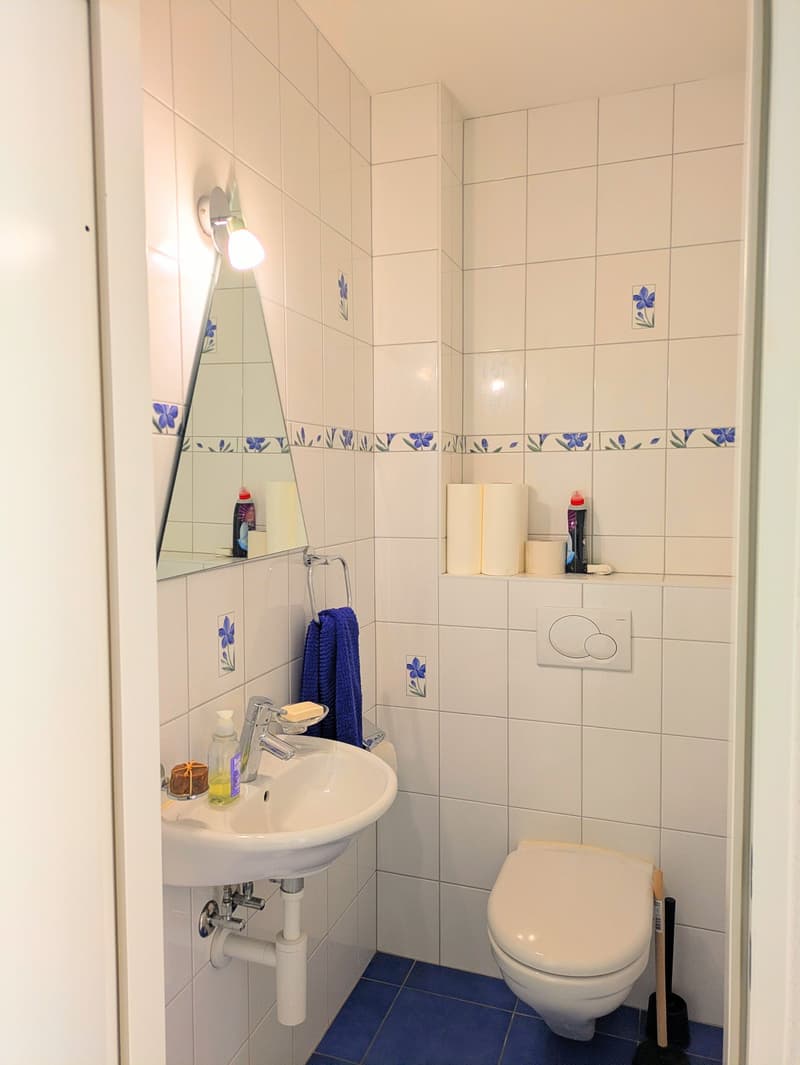 Bright 3-room apartment with balcony (8)