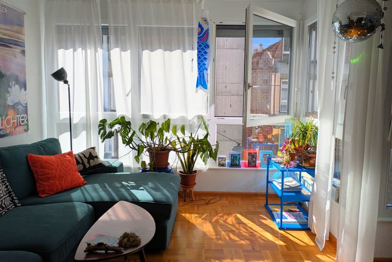 Bright 3-room apartment with balcony (2)