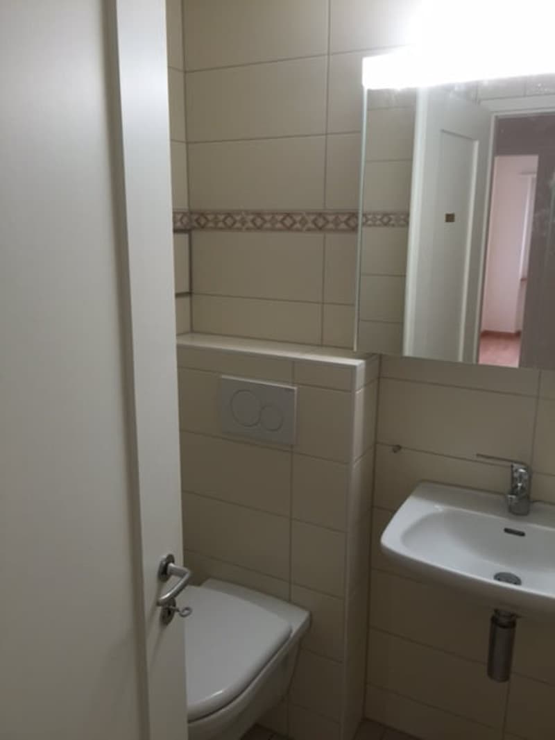 Bathroom with toilet, sink, and mirror