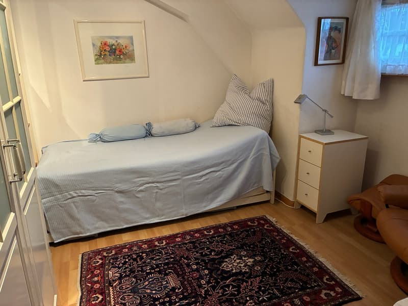 Spacious 7-room house with garden in Riehen (13)