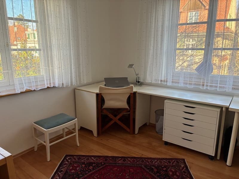Spacious 7-room house with garden in Riehen (18)