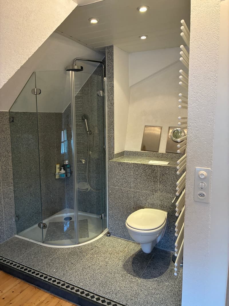 Spacious 7-room house with garden in Riehen (14)