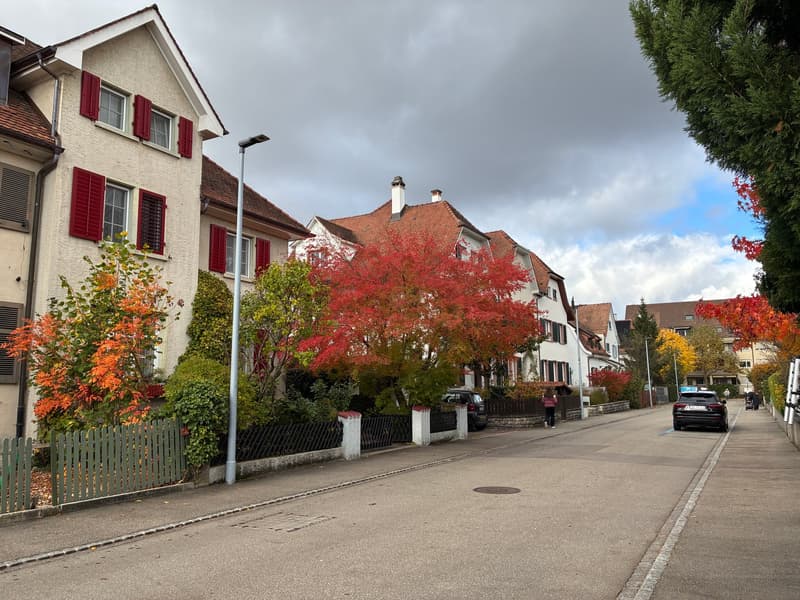 Spacious 7-room house with garden in Riehen (2)
