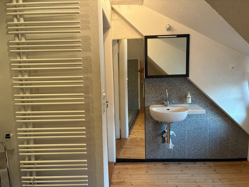 Spacious 7-room house with garden in Riehen (15)