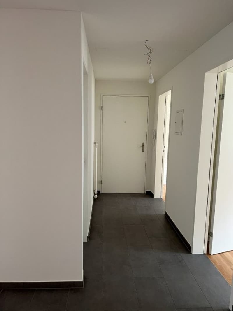 4.5-room apartment with covered south balcony, garden seating area and lift (3)