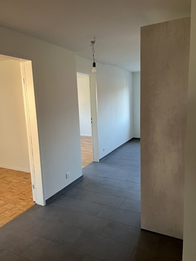 4.5-room apartment with covered south balcony, garden seating area and lift (7)