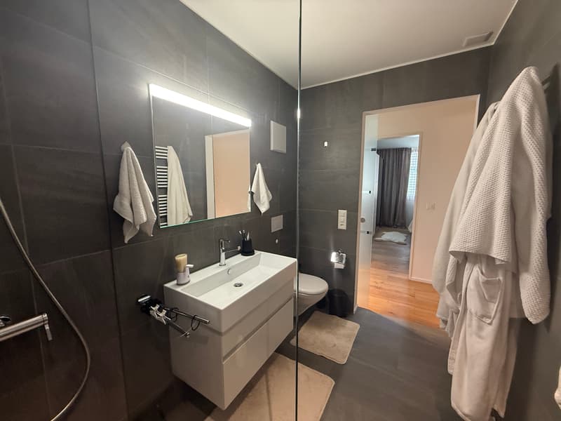 Appartement lumineux, climatisé 2.5 pièces avec balcon et parking souterrain (12)