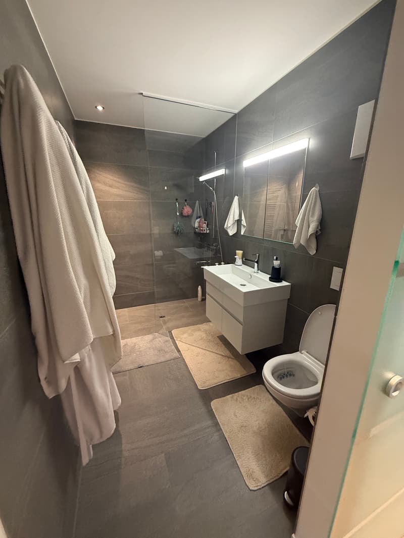 Appartement lumineux, climatisé 2.5 pièces avec balcon et parking souterrain (11)