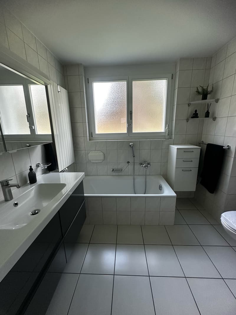 Bright, sunny, quiet, renovated 3-room apartment with garden seating (14)