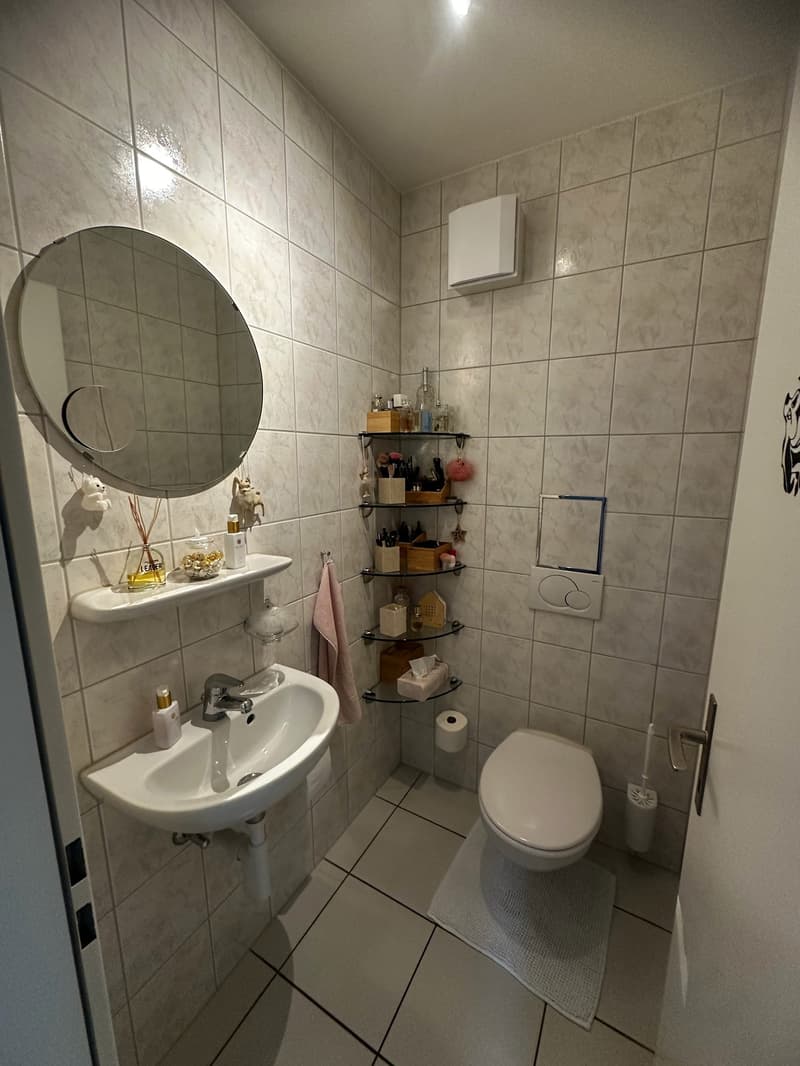 Bright, sunny, quiet, renovated 3-room apartment with garden seating (19)