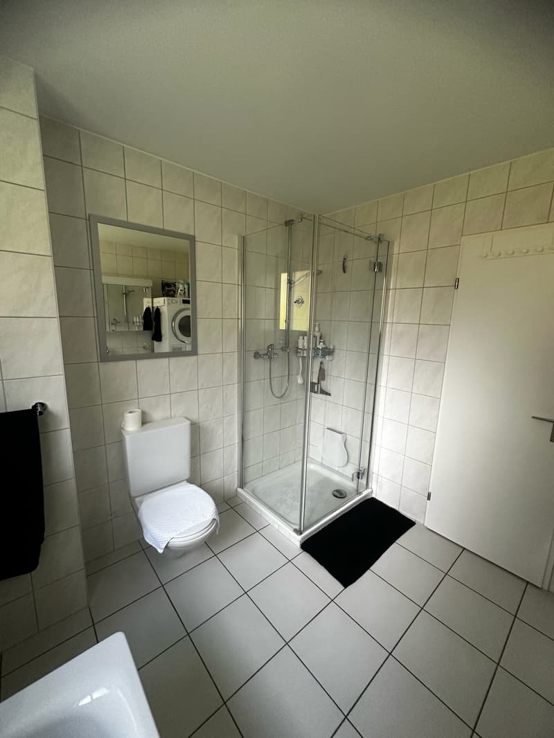 Bright, sunny, quiet, renovated 3-room apartment with garden seating (17)
