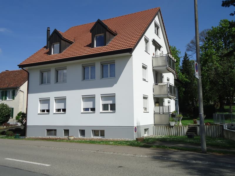 Bright, sunny, quiet, renovated 3-room apartment with garden seating (1)