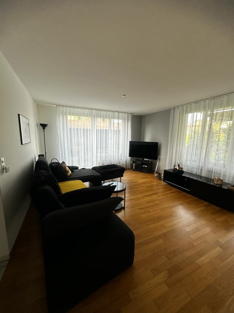 Bright, sunny, quiet, renovated 3-room apartment with garden seating (6)