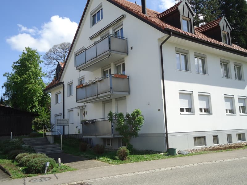 Bright, sunny, quiet, renovated 3-room apartment with garden seating (2)