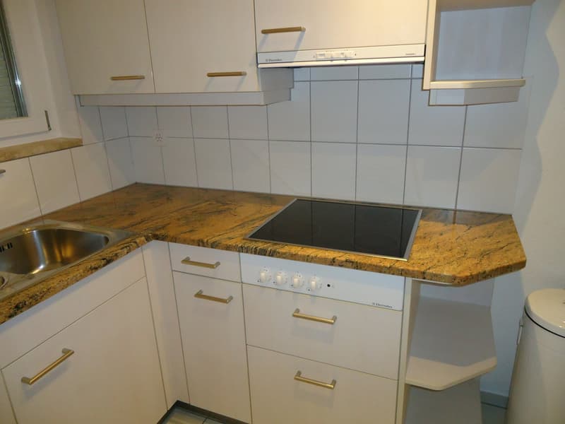 Bright, sunny, quiet, renovated 3-room apartment with garden seating (12)