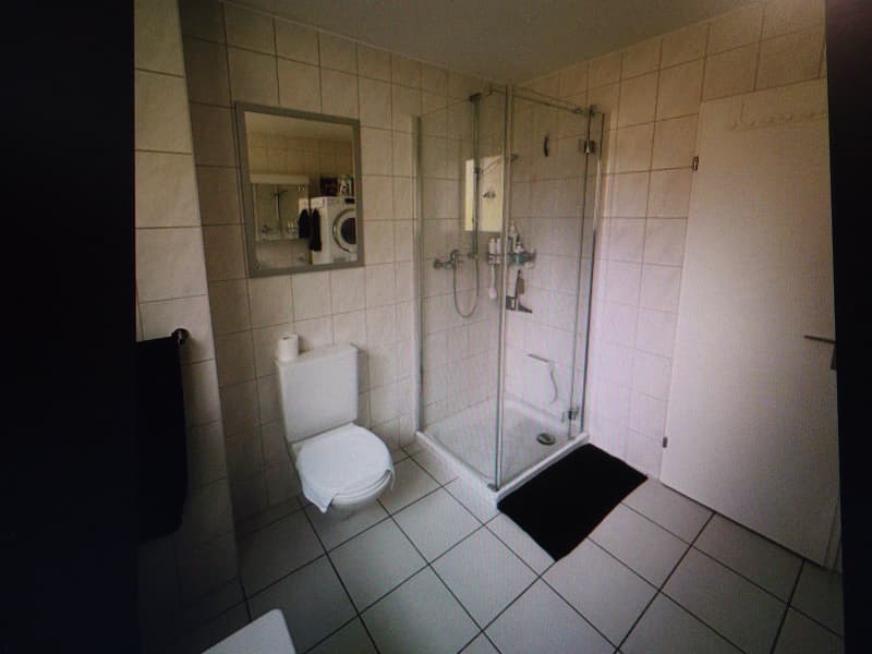Bright, sunny, quiet, renovated 3-room apartment with garden seating (18)