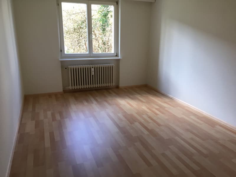 Bright, sunny, quiet 3-room apartment with balcony (2)
