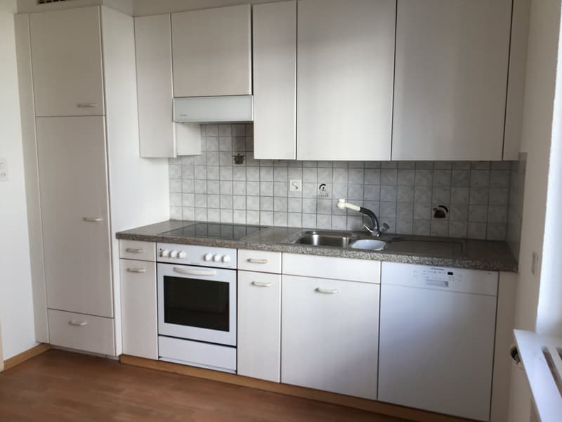 Bright, sunny, quiet 3-room apartment with balcony (3)
