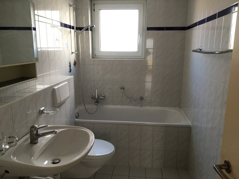 Bright, sunny, quiet 3-room apartment with balcony (4)