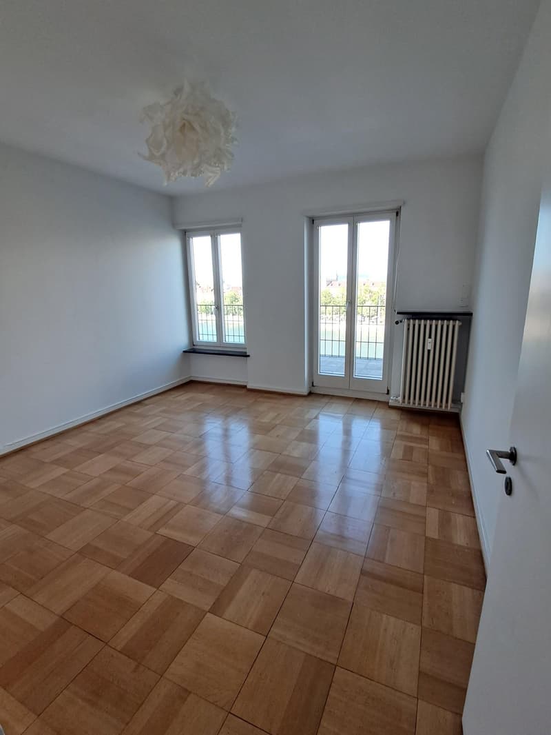 Representative old building apartment or exclusive commercial space with Rhine view and large balcony (6)
