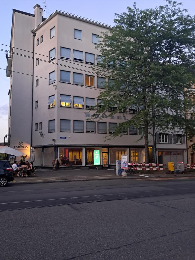 Representative old building apartment or exclusive commercial space with Rhine view and large balcony (2)